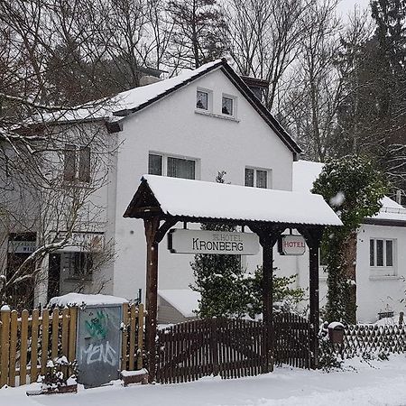 Hotel Kronberg Кронберг Экстерьер фото